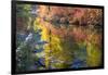 Deep Fall Colors, Wenatchee River, Stevens Pass Leavenworth, Washington State-William Perry-Framed Photographic Print