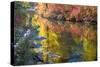 Deep Fall Colors, Wenatchee River, Stevens Pass Leavenworth, Washington State-William Perry-Stretched Canvas