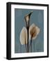 Deep Flora 1-Albert Koetsier-Framed Art Print