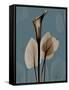 Deep Flora 1-Albert Koetsier-Framed Stretched Canvas