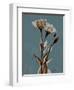 Deep Flora 2-Albert Koetsier-Framed Premium Giclee Print