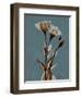 Deep Flora 2-Albert Koetsier-Framed Art Print