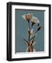 Deep Flora 2-Albert Koetsier-Framed Art Print