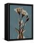 Deep Flora 2-Albert Koetsier-Framed Stretched Canvas