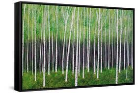 Deep Forest-Herb Dickinson-Framed Stretched Canvas