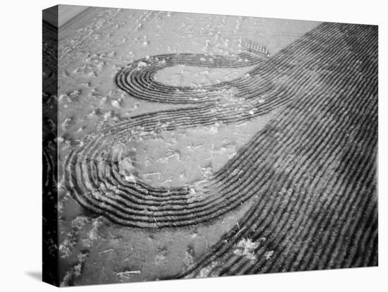 Deep Furrows Made to Prevent Drifting of Dirt on Farmland after Dust Storm in Dustbowl Area-Margaret Bourke-White-Stretched Canvas