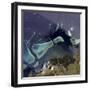 Deep Green Forest on Land and the Delicate Turquoise Coral Reef in the Ocean of Viti Levu, Fiji-null-Framed Photographic Print