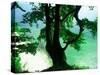 Deep Green Tree and Green-tinted Sea, Jasmund National Park, Island of Ruegen, Germany-Christian Ziegler-Stretched Canvas