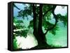 Deep Green Tree and Green-tinted Sea, Jasmund National Park, Island of Ruegen, Germany-Christian Ziegler-Framed Stretched Canvas