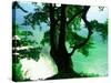 Deep Green Tree and Green-tinted Sea, Jasmund National Park, Island of Ruegen, Germany-Christian Ziegler-Stretched Canvas