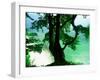 Deep Green Tree and Green-tinted Sea, Jasmund National Park, Island of Ruegen, Germany-Christian Ziegler-Framed Premium Photographic Print