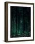 Deep Green-Design Fabrikken-Framed Photographic Print