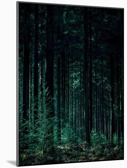 Deep Green-Design Fabrikken-Mounted Photographic Print