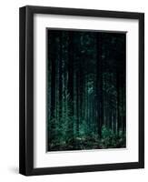 Deep Green-Design Fabrikken-Framed Premium Photographic Print