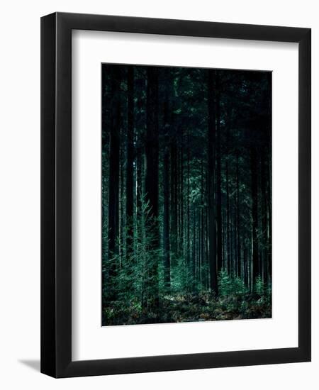 Deep Green-Design Fabrikken-Framed Premium Photographic Print