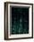 Deep Green-Design Fabrikken-Framed Photographic Print