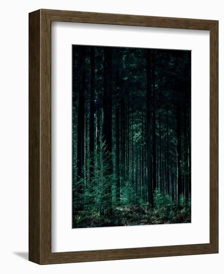 Deep Green-Design Fabrikken-Framed Photographic Print