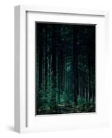 Deep Green-Design Fabrikken-Framed Photographic Print