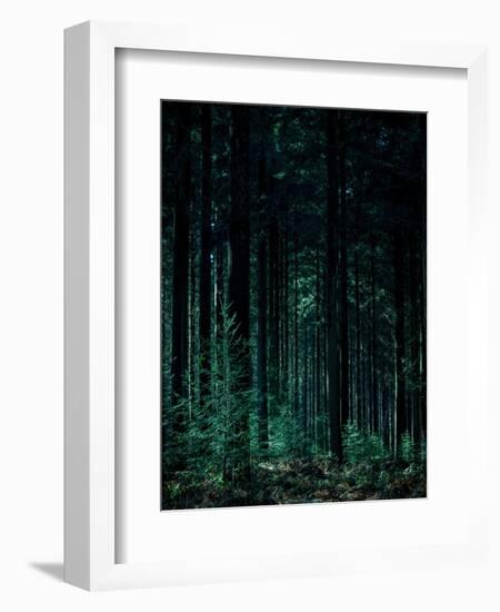 Deep Green-Design Fabrikken-Framed Photographic Print