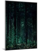 Deep Green-Design Fabrikken-Mounted Photographic Print