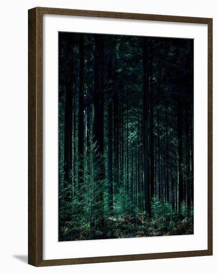 Deep Green-Design Fabrikken-Framed Photographic Print