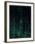 Deep Green-Design Fabrikken-Framed Photographic Print