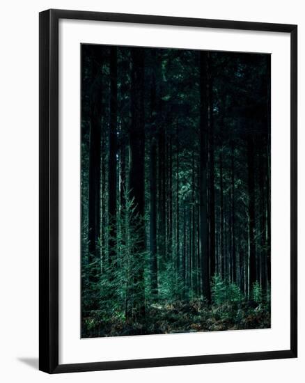 Deep Green-Design Fabrikken-Framed Photographic Print