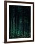 Deep Green-Design Fabrikken-Framed Photographic Print