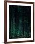 Deep Green-Design Fabrikken-Framed Photographic Print