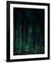 Deep Green-Design Fabrikken-Framed Photographic Print