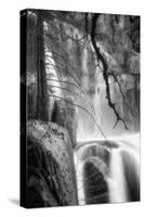 Deep In the Cascades, Yosemite-Vincent James-Stretched Canvas