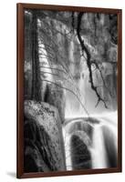 Deep In the Cascades, Yosemite-Vincent James-Framed Photographic Print