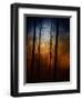 Deep In The Forest-Julie Fain-Framed Art Print