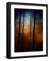 Deep In The Forest-Julie Fain-Framed Art Print