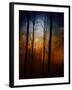 Deep In The Forest-Julie Fain-Framed Art Print