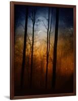 Deep In The Forest-Julie Fain-Framed Art Print