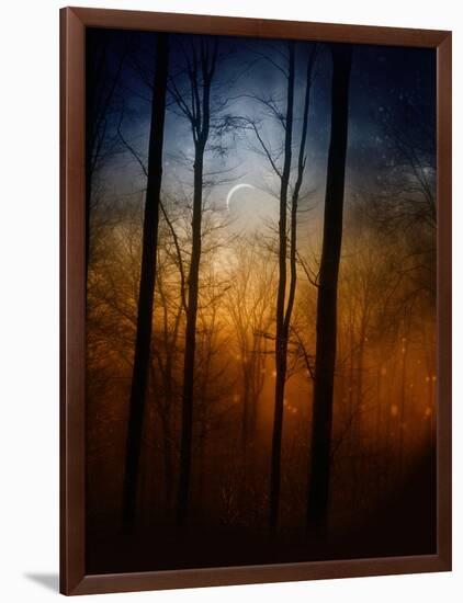 Deep In The Forest-Julie Fain-Framed Art Print