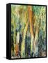 Deep in the Forest-Margaret Coxall-Framed Stretched Canvas