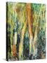 Deep in the Forest-Margaret Coxall-Stretched Canvas