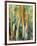 Deep in the Forest-Margaret Coxall-Framed Giclee Print