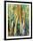 Deep in the Forest-Margaret Coxall-Framed Giclee Print