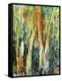 Deep in the Forest-Margaret Coxall-Framed Stretched Canvas