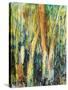 Deep in the Forest-Margaret Coxall-Stretched Canvas