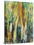 Deep in the Forest-Margaret Coxall-Stretched Canvas