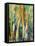 Deep in the Forest-Margaret Coxall-Framed Stretched Canvas