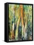 Deep in the Forest-Margaret Coxall-Framed Stretched Canvas