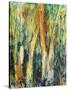 Deep in the Forest-Margaret Coxall-Stretched Canvas