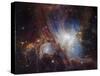 Deep infrared view of the Orion Nebula from HAWK-I-ESO-Stretched Canvas