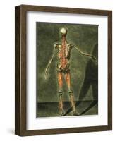 Deep Muscular System of the Back of the Body-Arnauld Eloi Gautier D'agoty-Framed Giclee Print