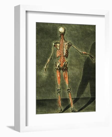 Deep Muscular System of the Back of the Body-Arnauld Eloi Gautier D'agoty-Framed Giclee Print